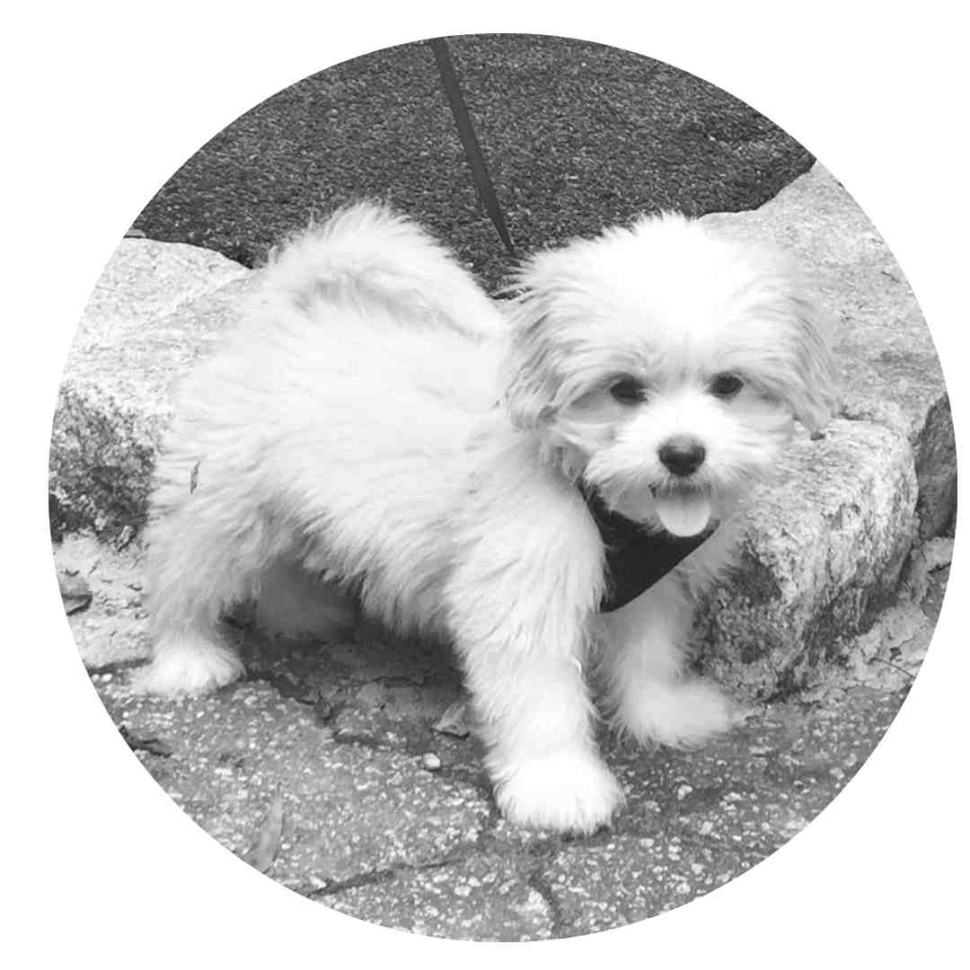 Bernie McCandless - Fusion CPA - honorary member