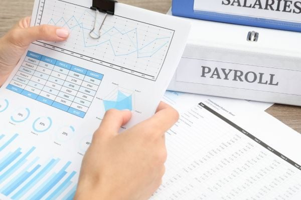 Payroll Audit Payroll Audit